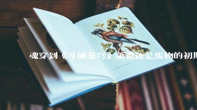 魂穿到《斗破苍穹》萧炎还是废物的初期，你变成了虚无吞炎该怎么办？